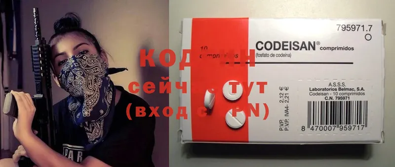 ссылка на мегу   где продают наркотики  Красноармейск  Кодеиновый сироп Lean Purple Drank 