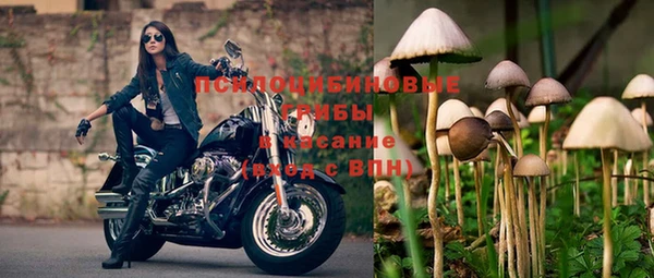 apvp Ладушкин