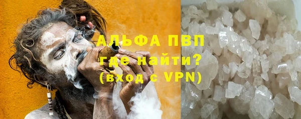 прущие грибы Лихославль