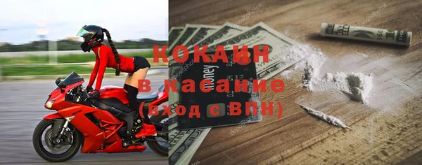 прущие грибы Лихославль