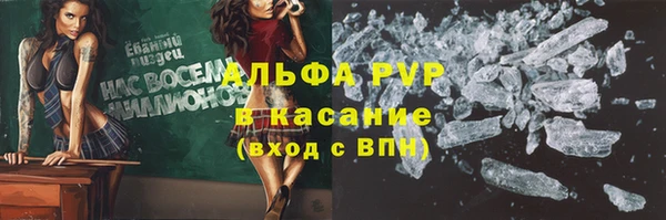 прущие грибы Лихославль