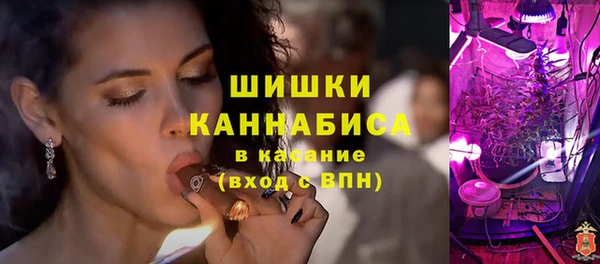 прущие грибы Лихославль