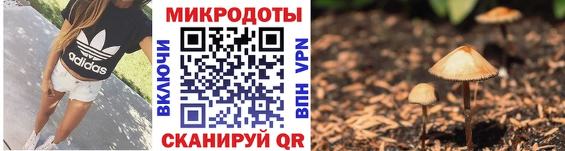 Галлюциногенные грибы мицелий  даркнет сайт  Красноармейск 