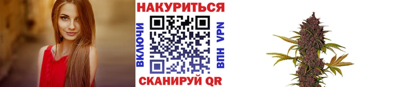 наркота  Красноармейск  Каннабис тримм 